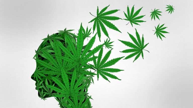 cannabis-rischio- salute-mentale