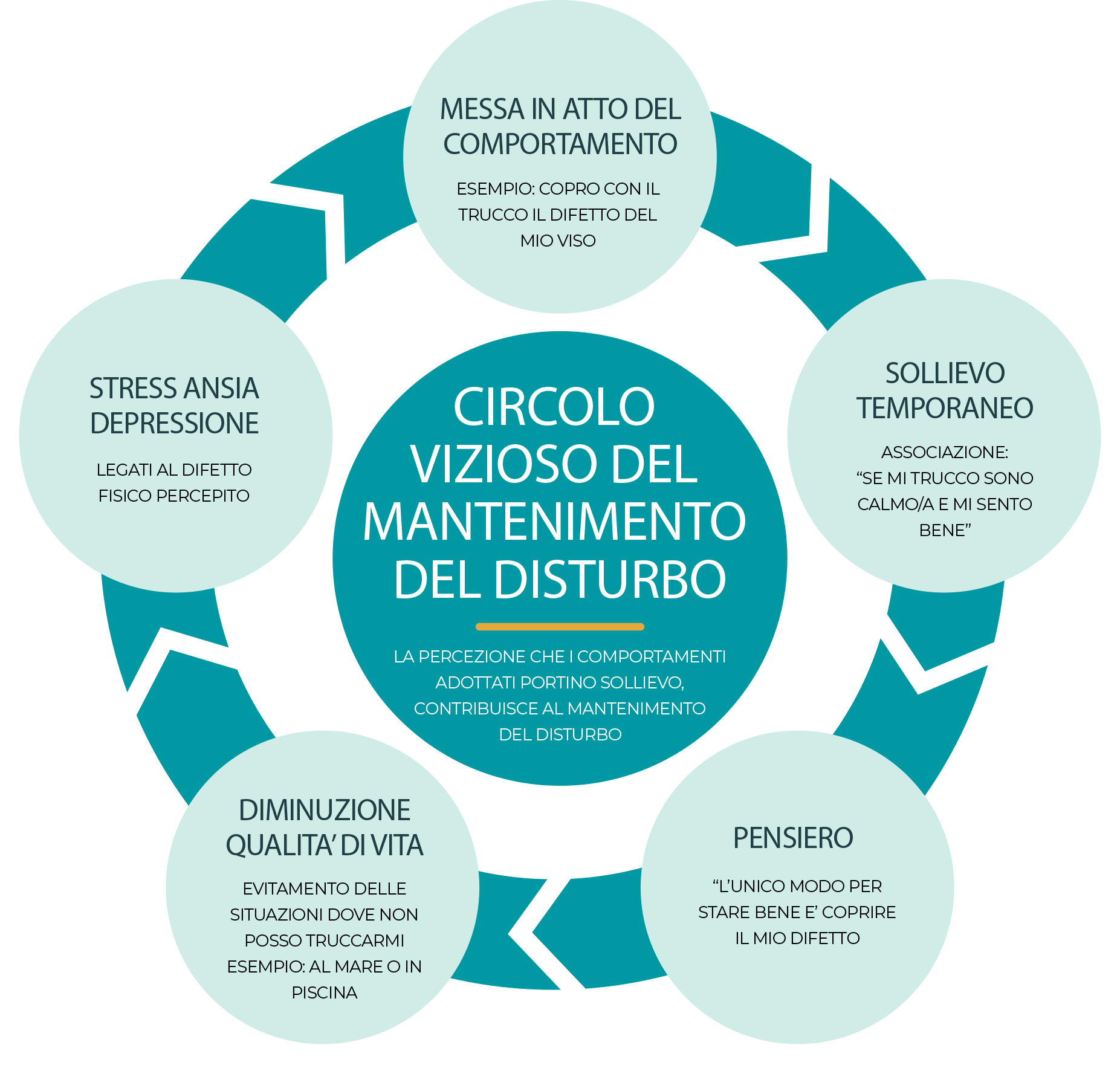 circolo vizioso del dismorfismo corporeo